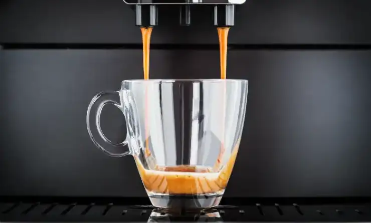 Cleaning and Descaling Miele Coffee Maker